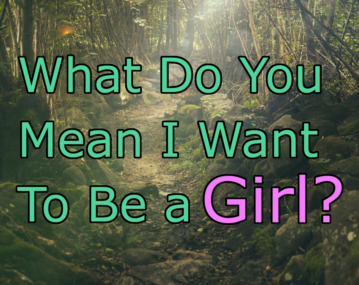 What Do You Mean I Want To Be a Girl?