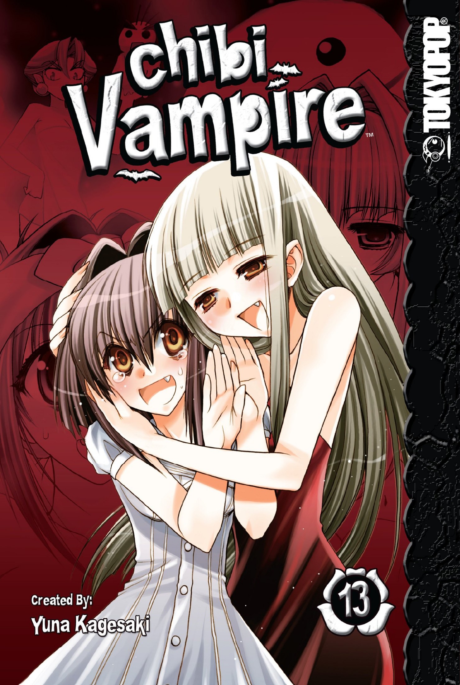 Chibi Vampire, Vol. 13